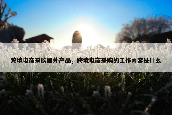 跨境电商采购国外产品，跨境电商采购的工作内容是什么