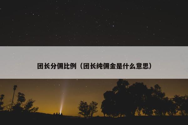 团长分佣比例（团长纯佣金是什么意思）
