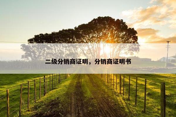二级分销商证明，分销商证明书