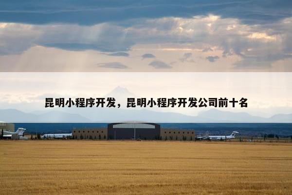 昆明小程序开发，昆明小程序开发公司前十名