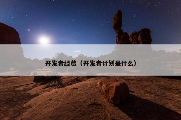 开发者经费（开发者计划是什么）