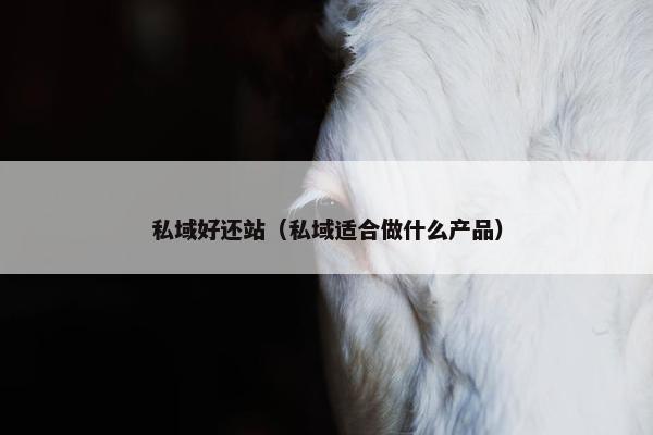 私域好还站（私域适合做什么产品）