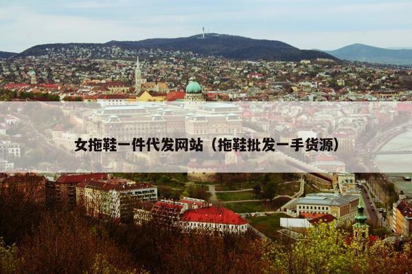 女拖鞋一件代发网站（拖鞋批发一手货源）