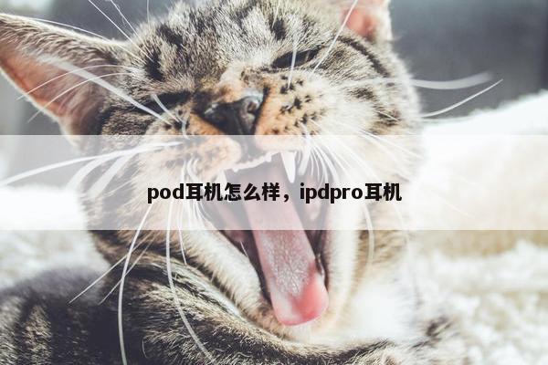 pod耳机怎么样，ipdpro耳机