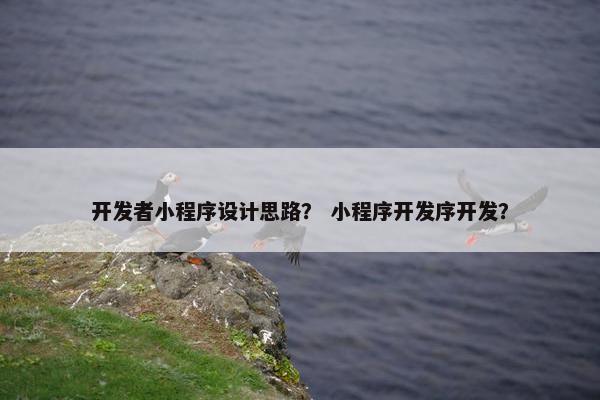 开发者小程序设计思路？ 小程序开发序开发？