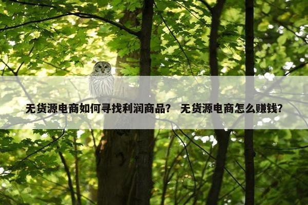 无货源电商如何寻找利润商品？ 无货源电商怎么赚钱？