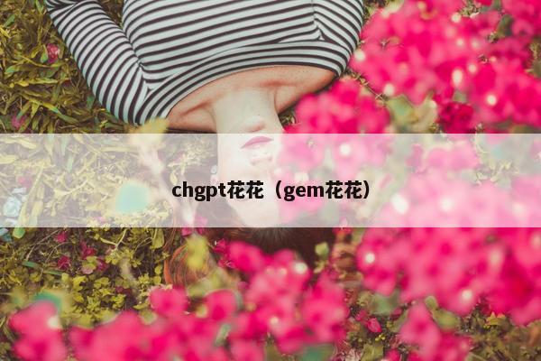 chgpt花花（gem花花）