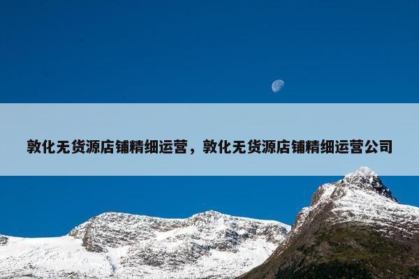 敦化无货源店铺精细运营，敦化无货源店铺精细运营公司