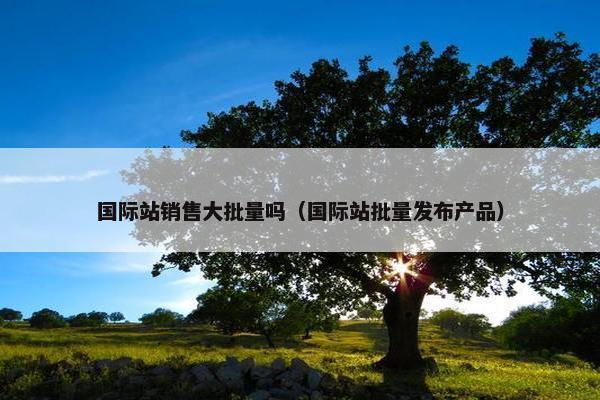 国际站销售大批量吗（国际站批量发布产品）