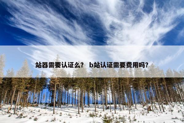 站器需要认证么？ b站认证需要费用吗？