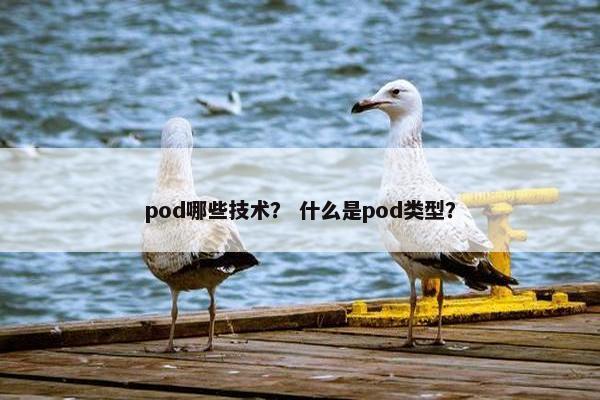 pod哪些技术？ 什么是pod类型？