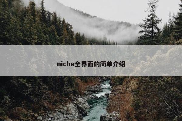 niche全界面的简单介绍