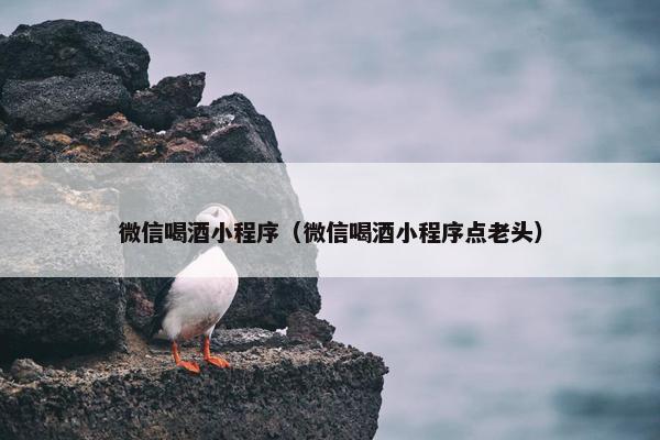 微信喝酒小程序（微信喝酒小程序点老头）
