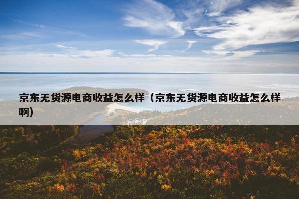 京东无货源电商收益怎么样（京东无货源电商收益怎么样啊）