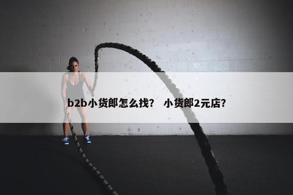 b2b小货郎怎么找？ 小货郎2元店？