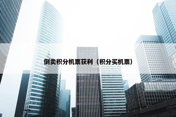 倒卖积分机票获利（积分买机票）