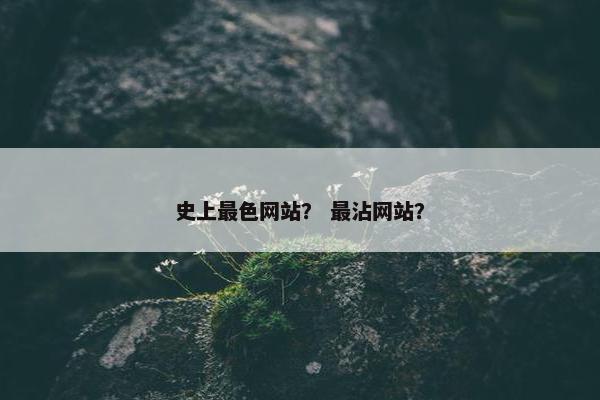 史上最色网站？ 最沾网站？