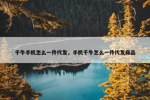 千牛手机怎么一件代发，手机千牛怎么一件代发商品