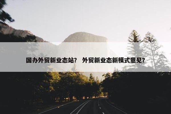 国办外贸新业态站？ 外贸新业态新模式意见？