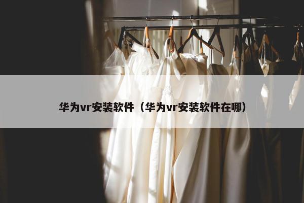华为vr安装软件（华为vr安装软件在哪）