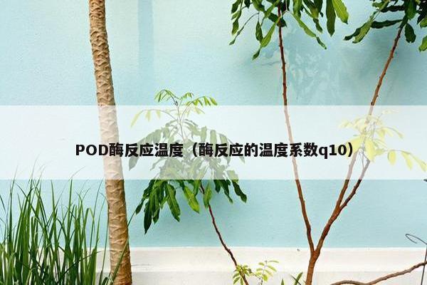 POD酶反应温度（酶反应的温度系数q10）