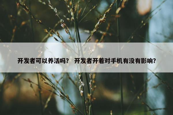 开发者可以养活吗？ 开发者开着对手机有没有影响？