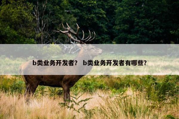 b类业务开发者？ b类业务开发者有哪些？