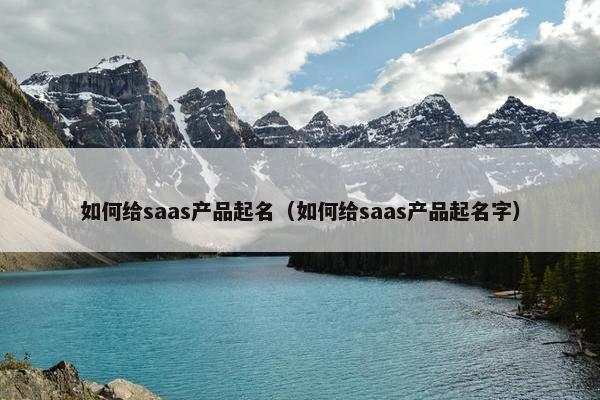 如何给saas产品起名（如何给saas产品起名字）