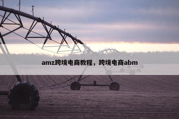 amz跨境电商教程，跨境电商abm