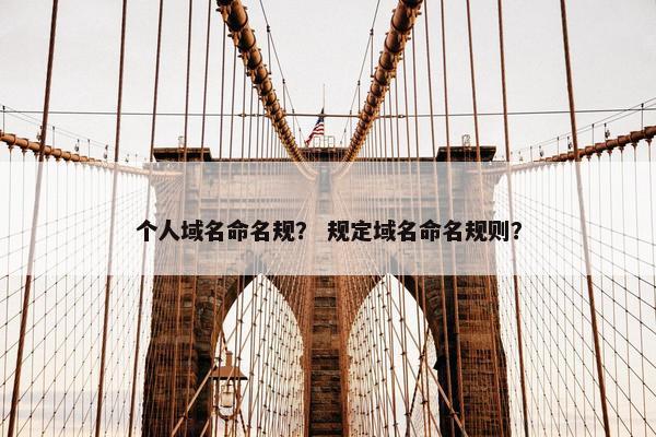 个人域名命名规？ 规定域名命名规则？
