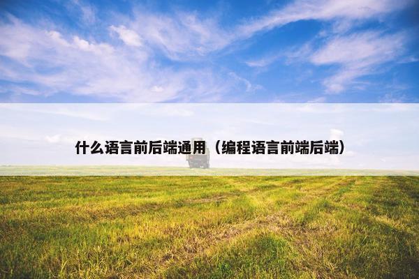 什么语言前后端通用（编程语言前端后端）