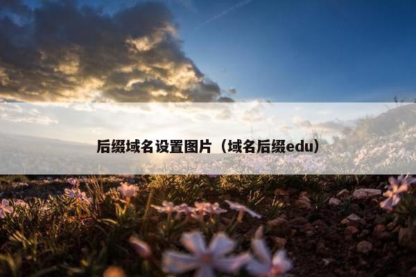 后缀域名设置图片（域名后缀edu）