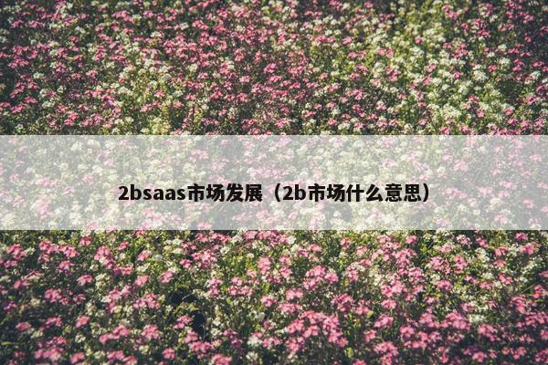 2bsaas市场发展（2b市场什么意思）