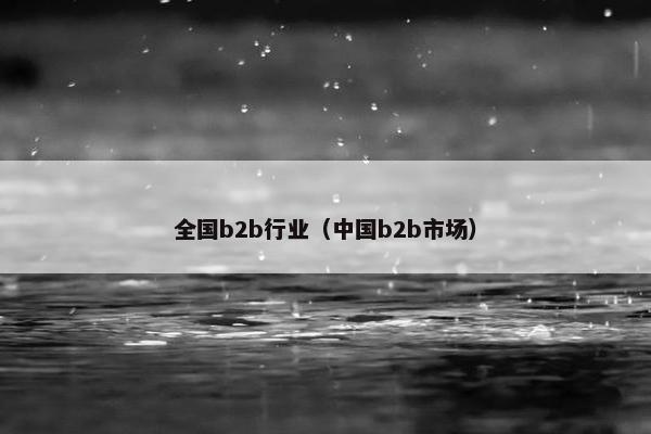 全国b2b行业（中国b2b市场）