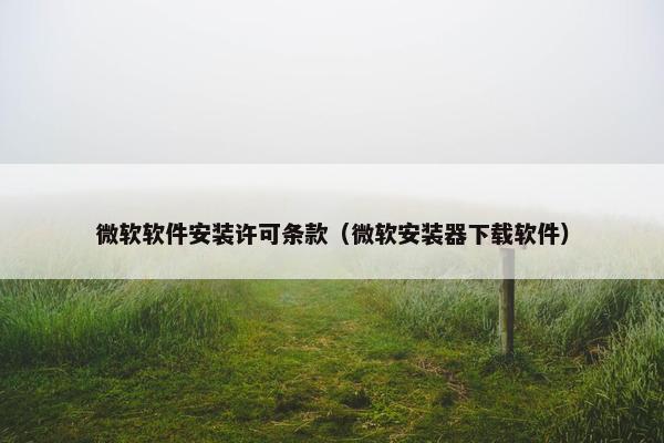 微软软件安装许可条款（微软安装器下载软件）
