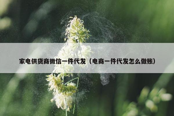 家电供货商微信一件代发（电商一件代发怎么做账）