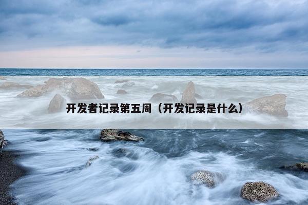 开发者记录第五周（开发记录是什么）