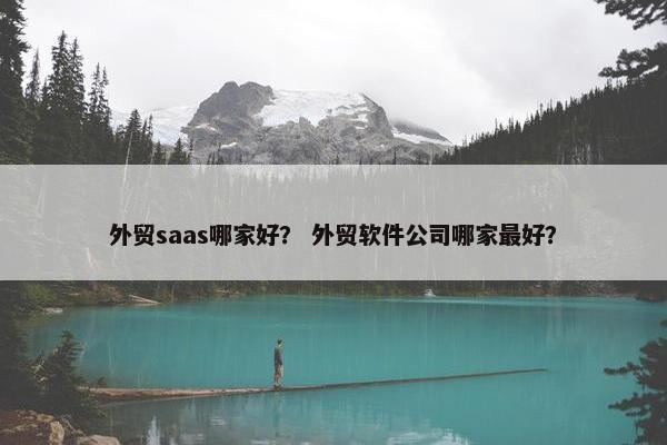 外贸saas哪家好？ 外贸软件公司哪家最好？