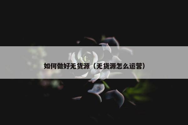 如何做好无货源（无货源怎么运营）