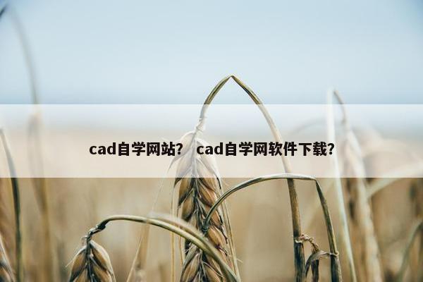 cad自学网站？ cad自学网软件下载？