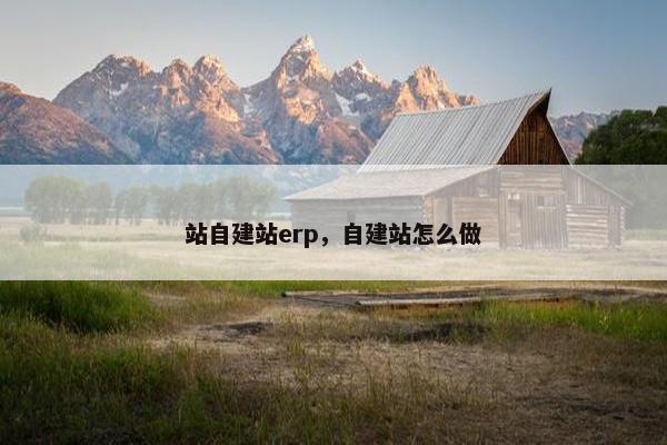 站自建站erp，自建站怎么做
