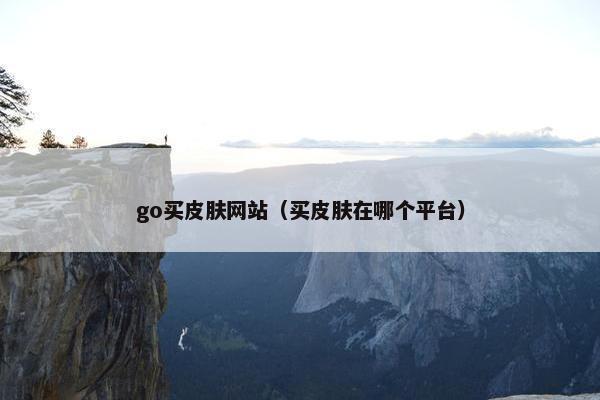 go买皮肤网站（买皮肤在哪个平台）