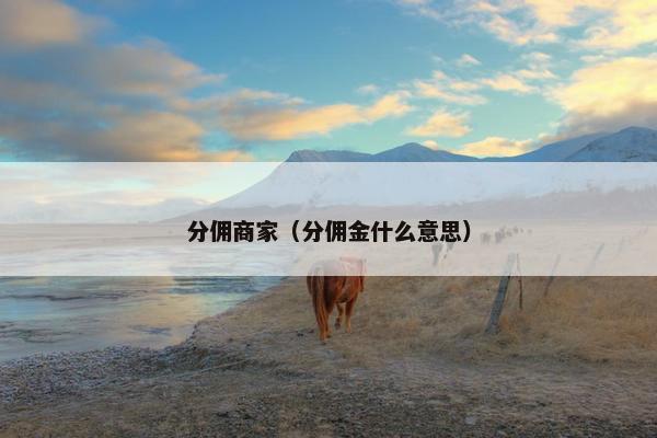 分佣商家（分佣金什么意思）