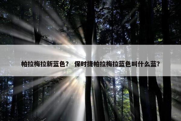 帕拉梅拉新蓝色？ 保时捷帕拉梅拉蓝色叫什么蓝？