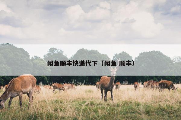闲鱼顺丰快递代下（闲鱼 顺丰）