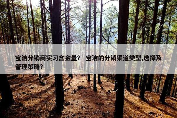 宝洁分销商实习含金量？ 宝洁的分销渠道类型,选择及管理策略？
