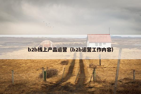 b2b线上产品运营（b2b运营工作内容）