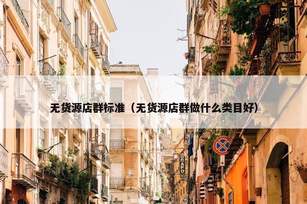 无货源店群标准（无货源店群做什么类目好）