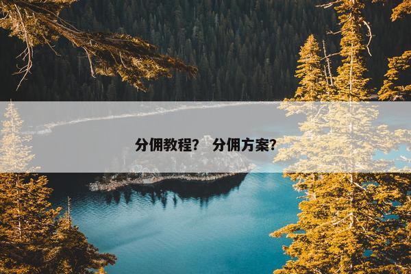 分佣教程？ 分佣方案？