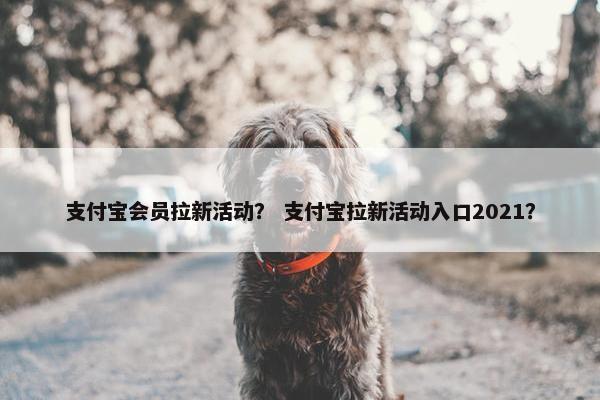 支付宝会员拉新活动？ 支付宝拉新活动入口2021？